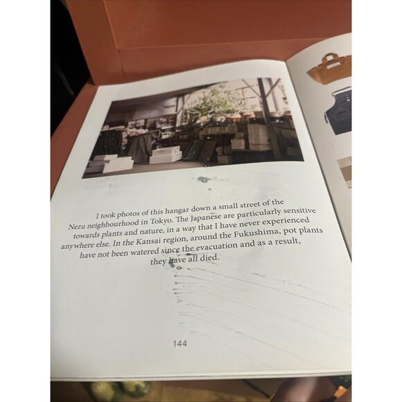 The Plant Journal Magazine | Issue Two , 2, 2011 Monstera Deliciosa - Picture 4 of 5